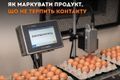 Маркування яєць у лотках: як маркувати продукт, що не терпить контакту фото